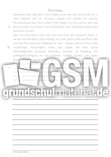 Rennmaus.pdf